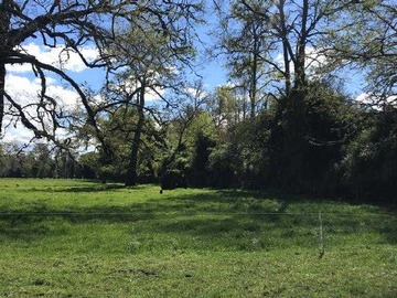 Venta / Terreno / Puyehue