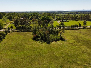 Venta / Terreno / Puyehue