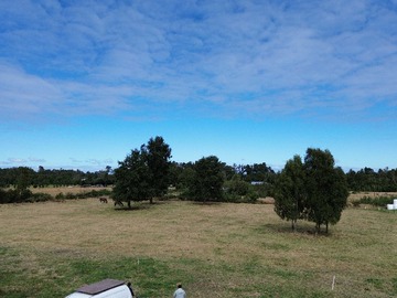 Venta / Terreno / Puyehue