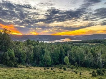 Venta / Terreno / Queilén