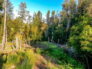 Venta / Terreno / Queilén