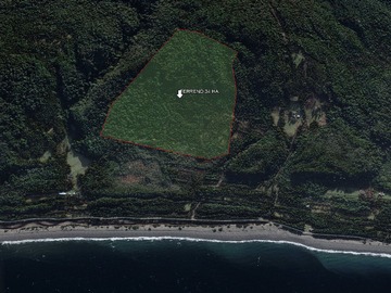Venta / Terreno / Queilén