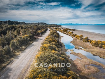 Venta / Terreno / Queilén