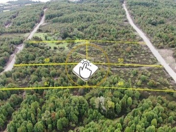 Venta / Terreno / Queilén