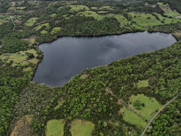 Venta / Terreno / Queilén