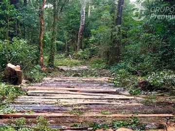 Venta / Terreno / Quellón