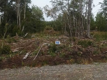 Venta / Terreno / Quemchi