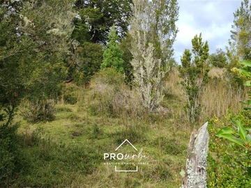 Imagen 6