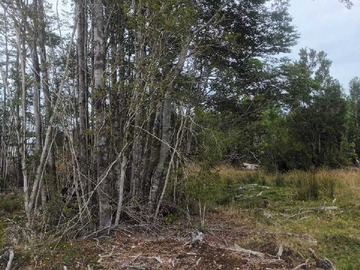 Venta / Terreno / Quemchi