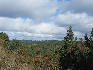 Venta / Terreno / Quemchi