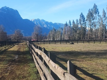 Venta / Terreno / Quilaco