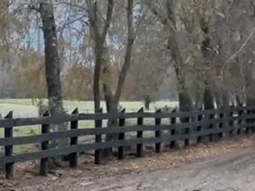 Venta / Terreno / Quilaco