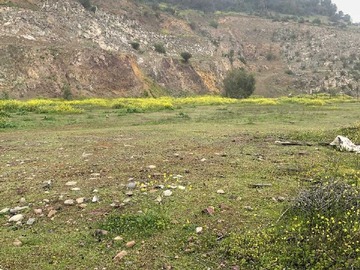 Venta / Terreno / Quilicura