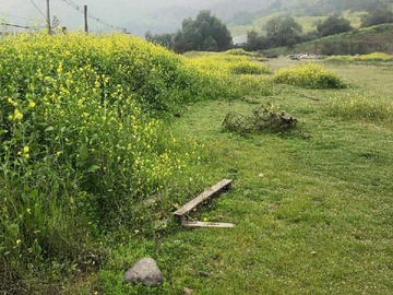Imagen 5