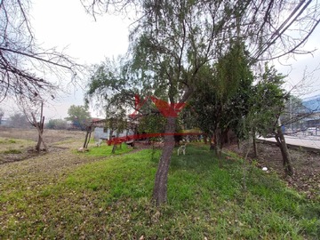 Imagen 9