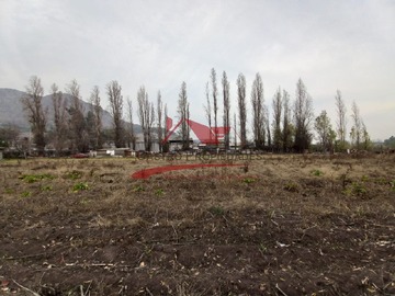 Imagen 14