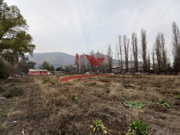 Imagen 15
