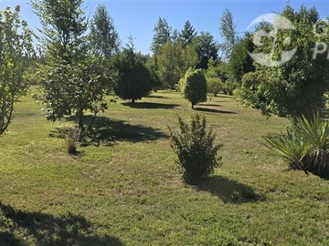 Imagen 6