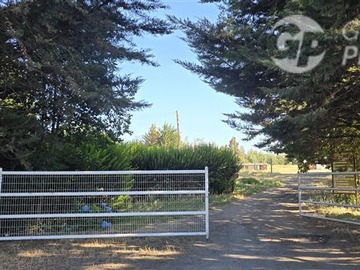 Venta / Terreno / Quilleco