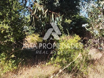Venta / Terreno / Quillón