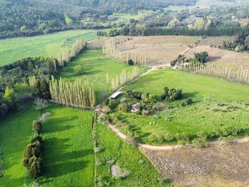 Venta / Terreno / Quillón