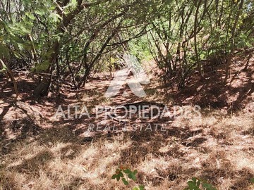 Venta / Terreno / Quillón