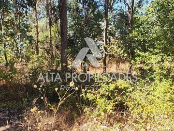 Venta / Terreno / Quillón