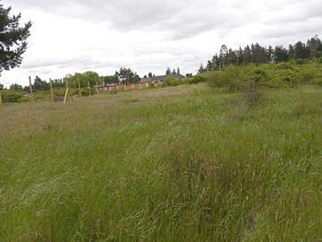 Venta / Terreno / Quillón