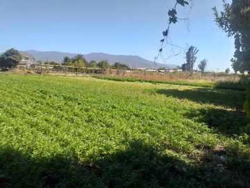 Venta / Terreno / Quillota