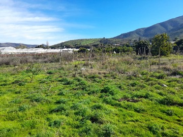 Venta / Terreno / Quillota