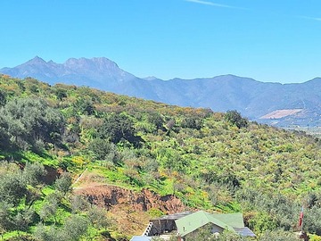 Venta / Terreno / Quillota