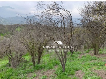 Venta / Terreno / Quillota