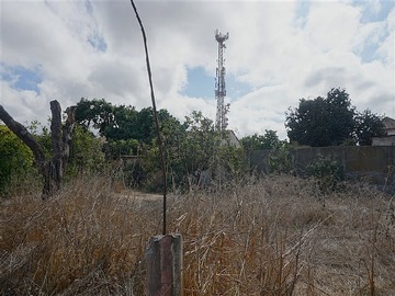 Imagen 25
