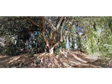 Venta / Terreno / Quillota