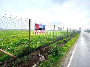 Venta / Terreno / Quillota