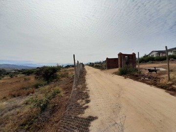 Imagen 6