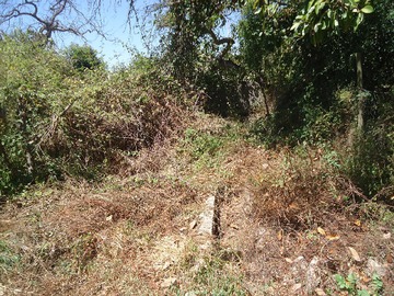 Imagen 12