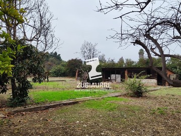 Imagen 6