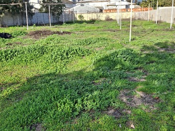Venta / Terreno / Quillota