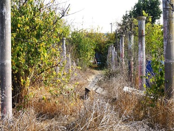 Venta / Terreno / Quillota