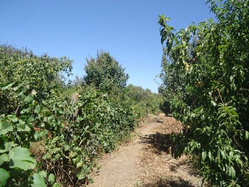 Imagen 8