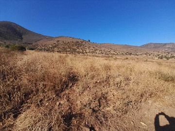 Venta / Terreno / Quillota