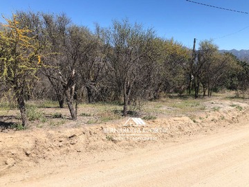 Venta / Terreno / Quillota