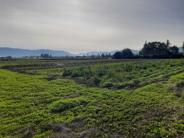 Venta / Terreno / Quillota