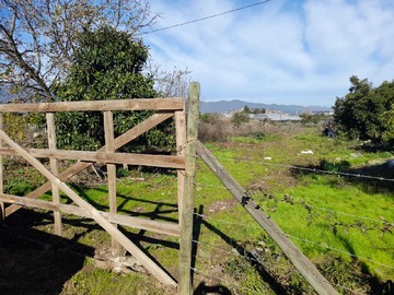 Venta / Terreno / Quillota