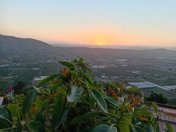 Venta / Terreno / Quillota