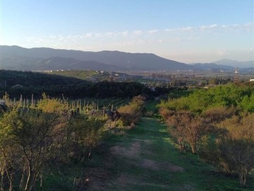 Imagen 6