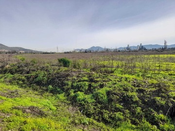 Venta / Terreno / Quillota