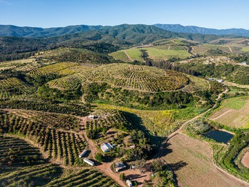 Venta / Terreno / Quillota