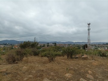 Imagen 5